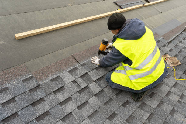 Best Residential Roof Replacement  in Olivet, MI