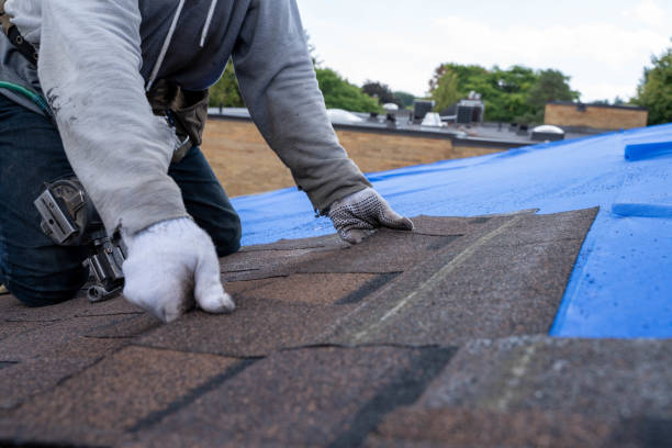 Residential Roof Replacement in Olivet, MI