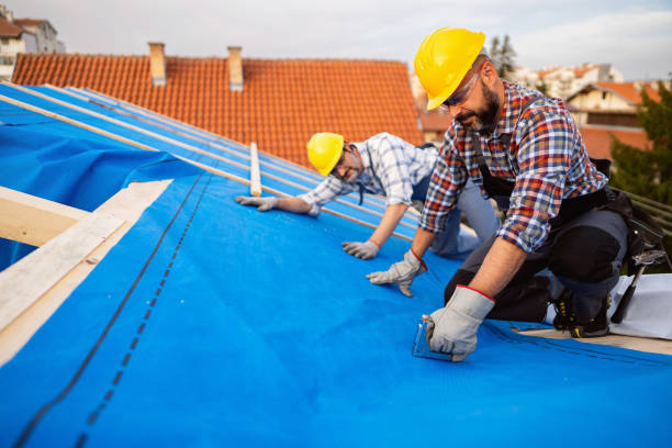 Best Gutter Installation and Roofing  in Olivet, MI