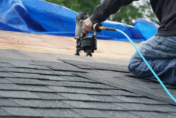 Best Local Roofing Companies  in Olivet, MI