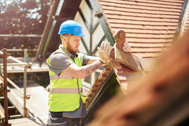 Best Storm Damage Roof Repair  in Olivet, MI
