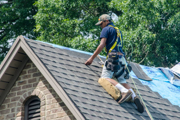 Best Emergency Roof Repair  in Olivet, MI