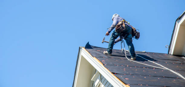 Best Roof Repair Services  in Olivet, MI
